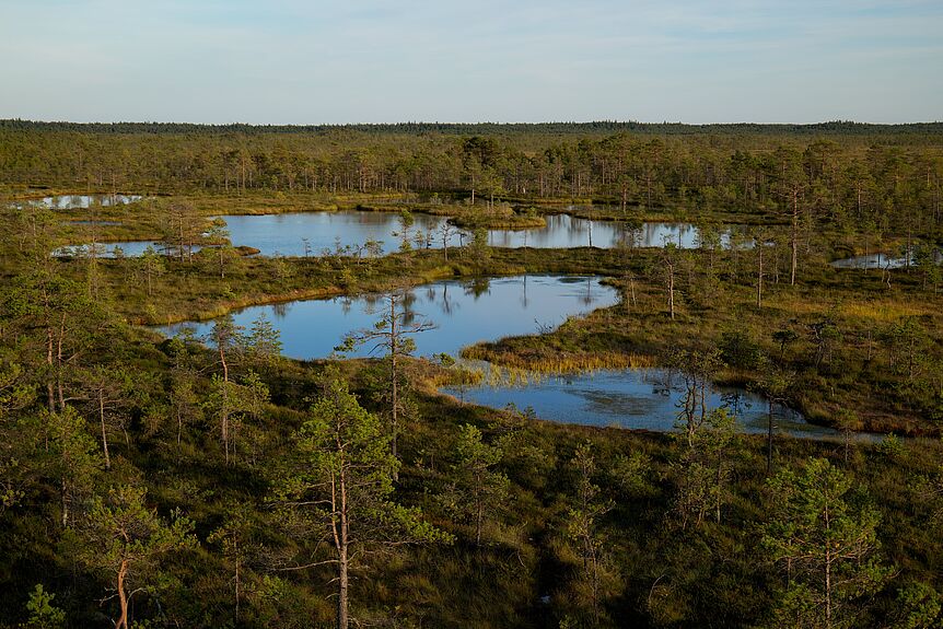 small lakes in a forested landscape