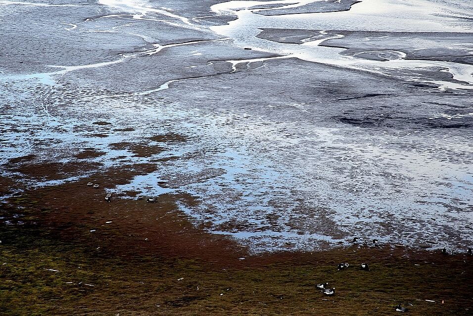 half frozen landscape