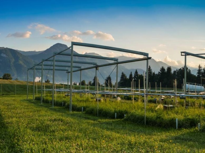 Grassland with installations that simulate future climate conditions